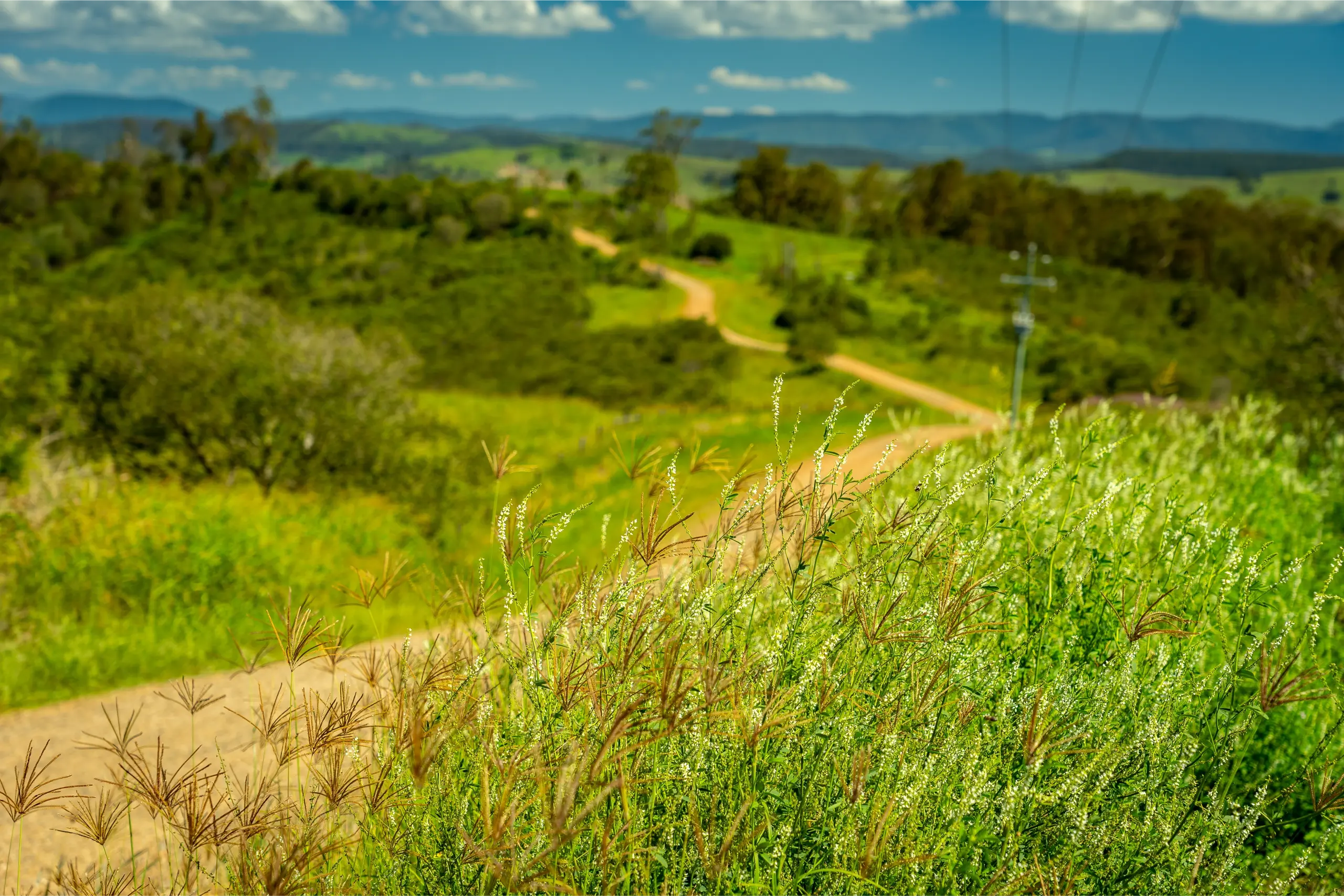 Collinsville inland Queensland township serviced by D & B Locksmiths