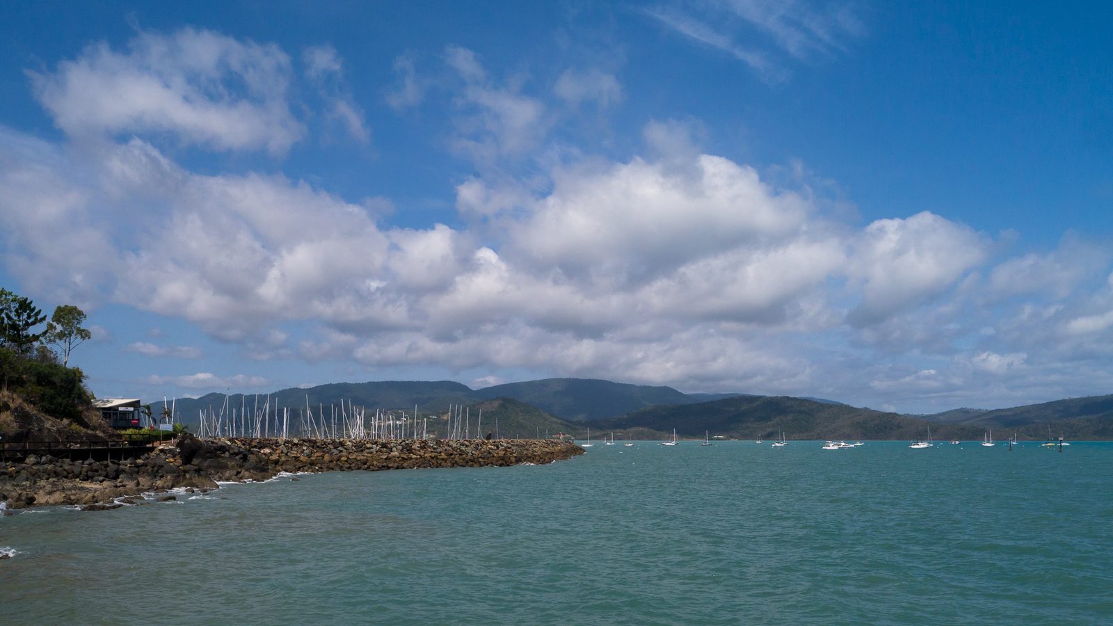 Looking across the water towards Airlie Beach marina and its wooded headland